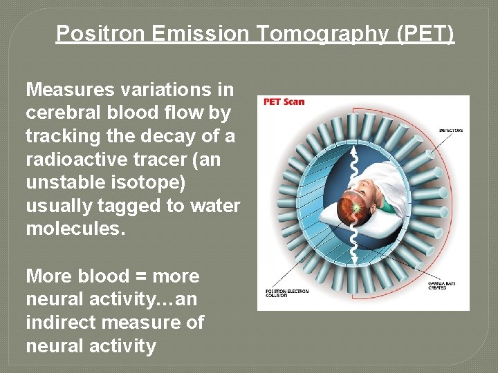 Positron Emission Tomography (PET) Measures variations in cerebral blood flow by tracking the decay