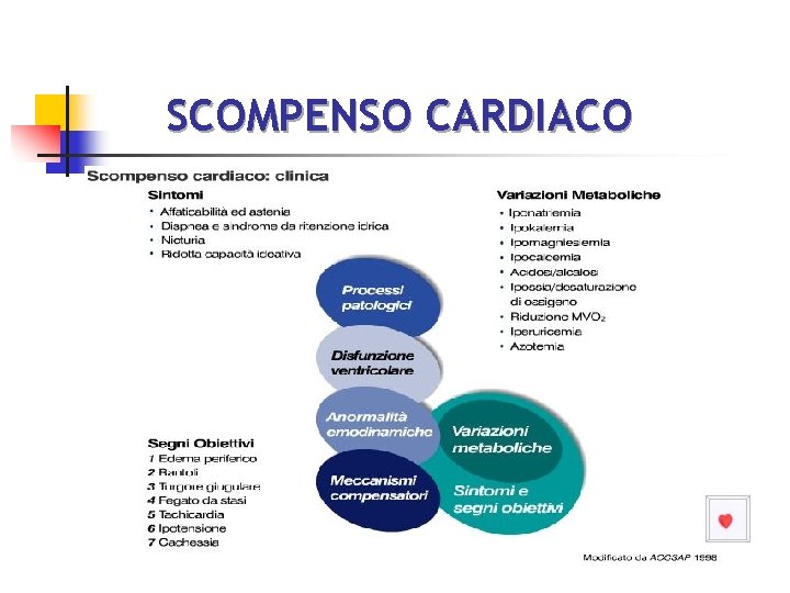 SCOMPENSO CARDIACO 