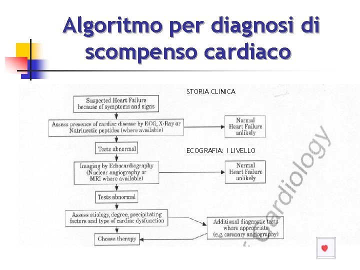 Algoritmo per diagnosi di scompenso cardiaco STORIA CLINICA ECOGRAFIA: I LIVELLO 