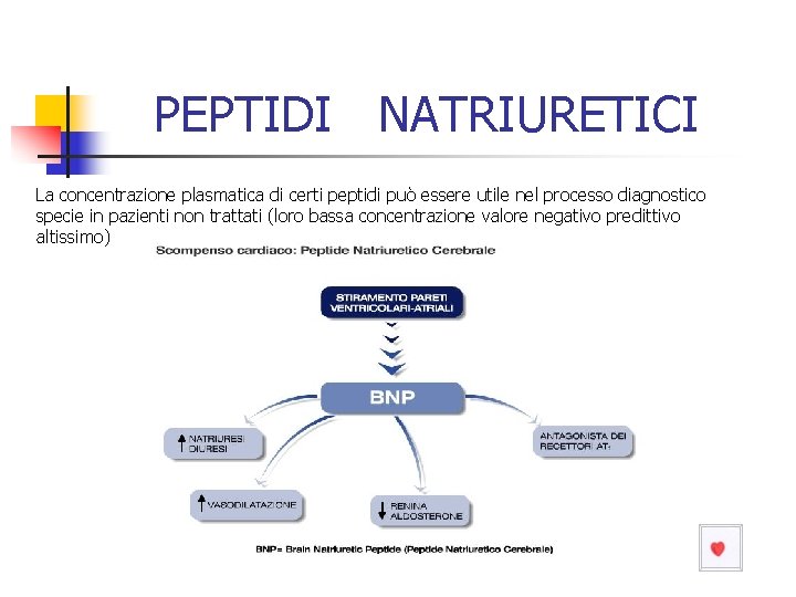 PEPTIDI NATRIURETICI La concentrazione plasmatica di certi peptidi può essere utile nel processo diagnostico