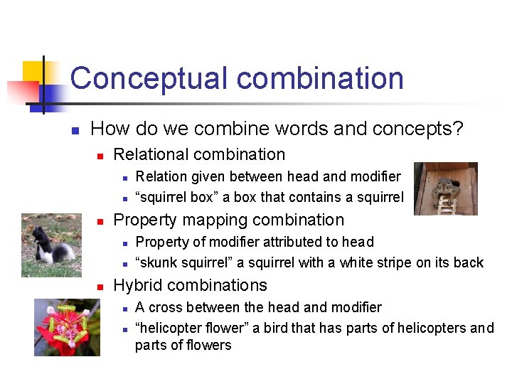 Conceptual combination n How do we combine words and concepts? n Relational combination n