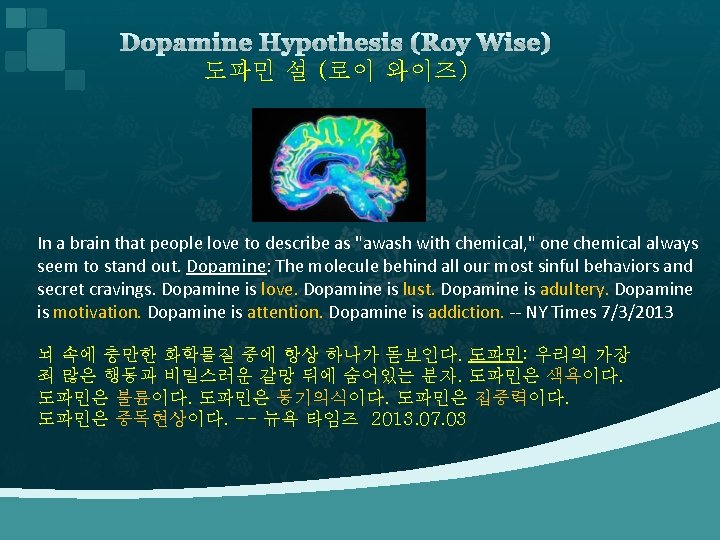 Dopamine Hypothesis (Roy Wise) 도파민 설 (로이 와이즈) In a brain that people love