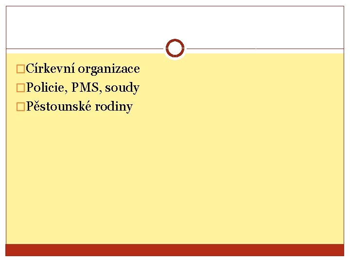 �Církevní organizace �Policie, PMS, soudy �Pěstounské rodiny 