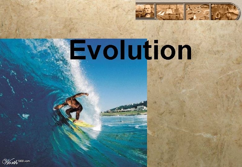 Evolution 