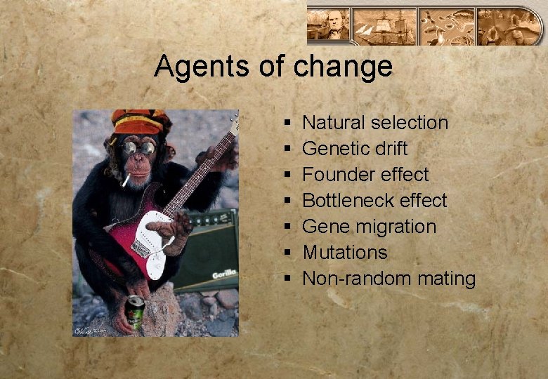 Agents of change § § § § Natural selection Genetic drift Founder effect Bottleneck