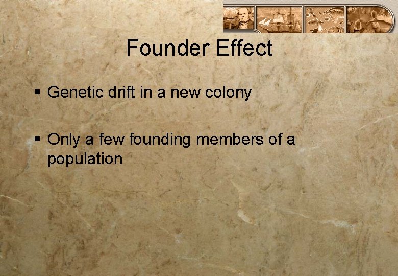 Founder Effect § Genetic drift in a new colony § Only a few founding