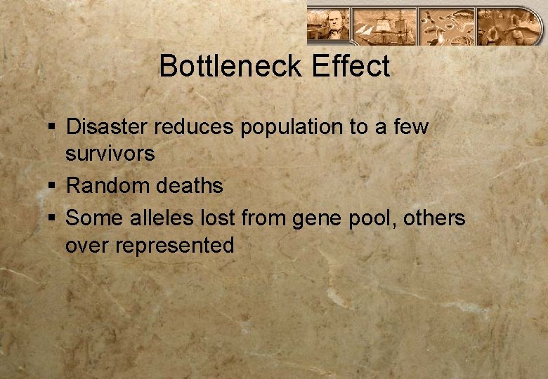 Bottleneck Effect § Disaster reduces population to a few survivors § Random deaths §