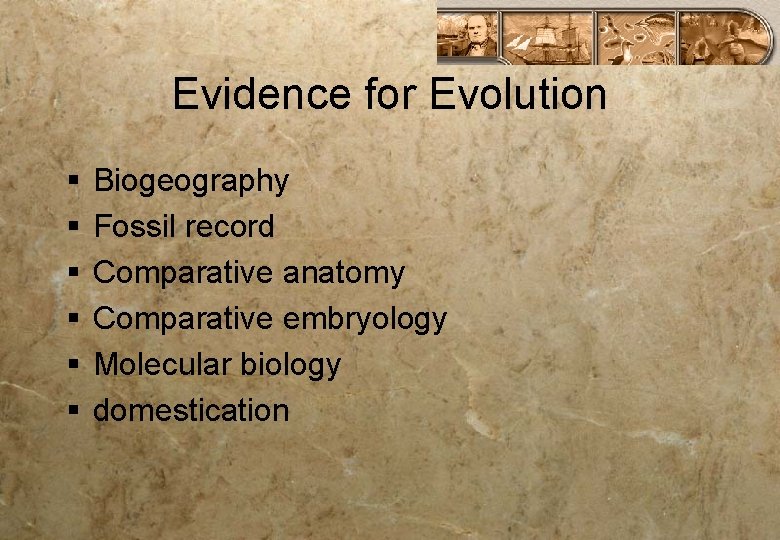 Evidence for Evolution § § § Biogeography Fossil record Comparative anatomy Comparative embryology Molecular