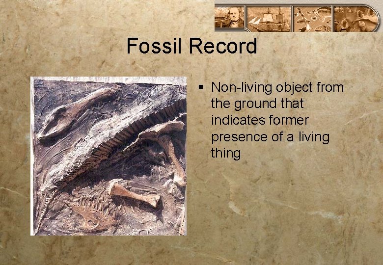 Fossil Record § Non-living object from the ground that indicates former presence of a