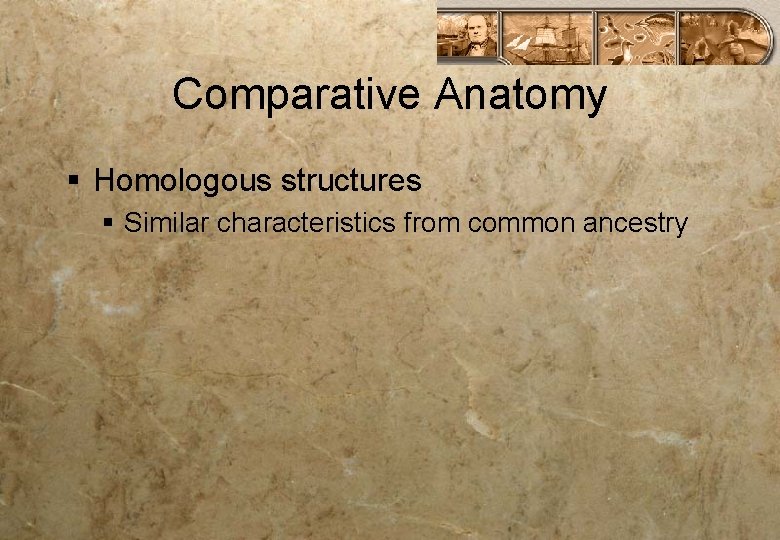 Comparative Anatomy § Homologous structures § Similar characteristics from common ancestry 