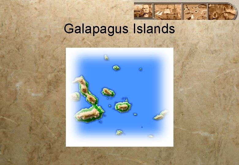 Galapagus Islands 
