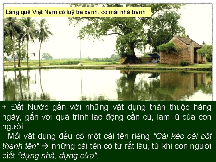 Làng quê Việt Nam có luỹ tre xanh, có mái nhà tranh + Đất