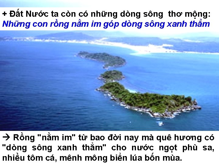 + Đất Nước ta còn có những dòng sông thơ mộng: Những con rồng