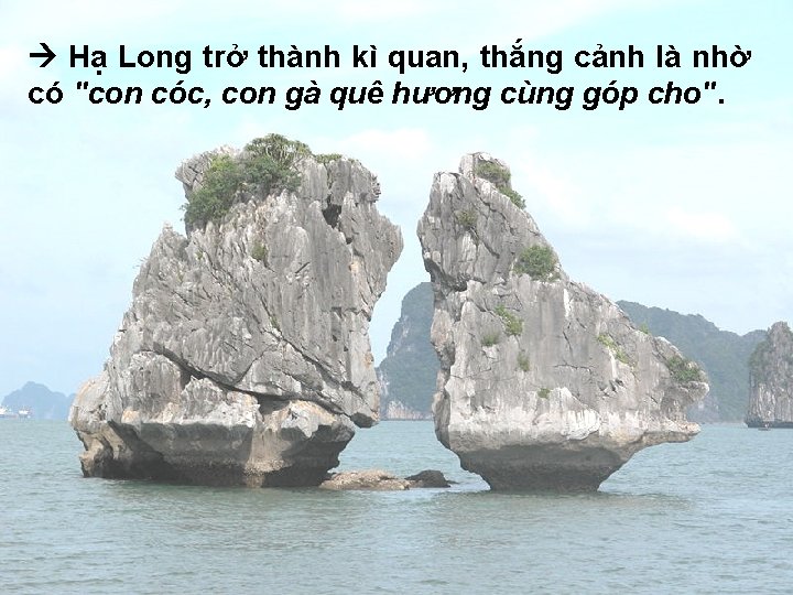  Hạ Long trở thành kì quan, thắng cảnh là nhờ có "con cóc,