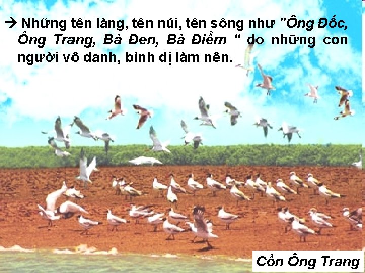  Những tên làng, tên núi, tên sông như "Ông Đốc, Ông Trang, Bà