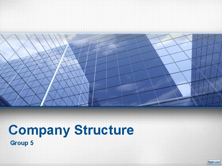 Company Structure Group 5 