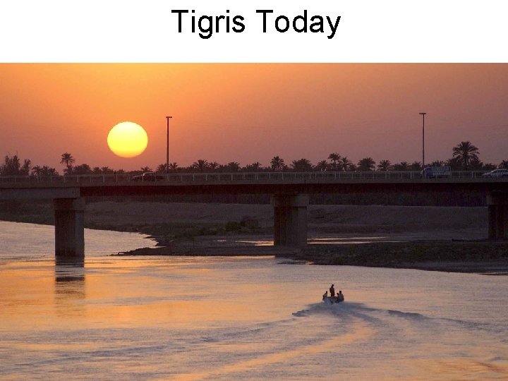 Tigris Today 