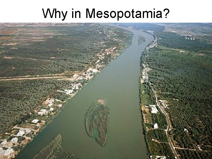 Why in Mesopotamia? 