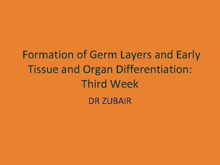 Formation of Germ Layers and Early Tissue and Organ Differentiation: Third Week DR ZUBAIR