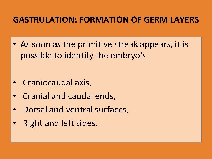 GASTRULATION: FORMATION OF GERM LAYERS • As soon as the primitive streak appears, it
