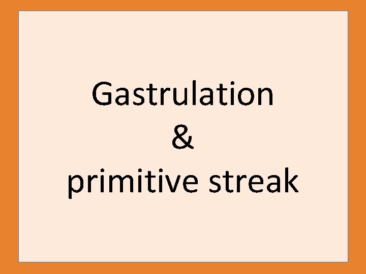 Gastrulation & primitive streak 