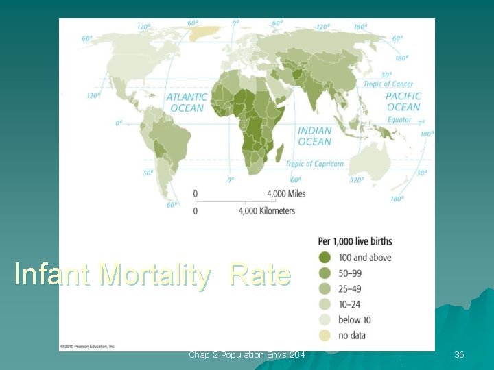 Infant Mortality Rate Chap 2 Population Envs 204 36 