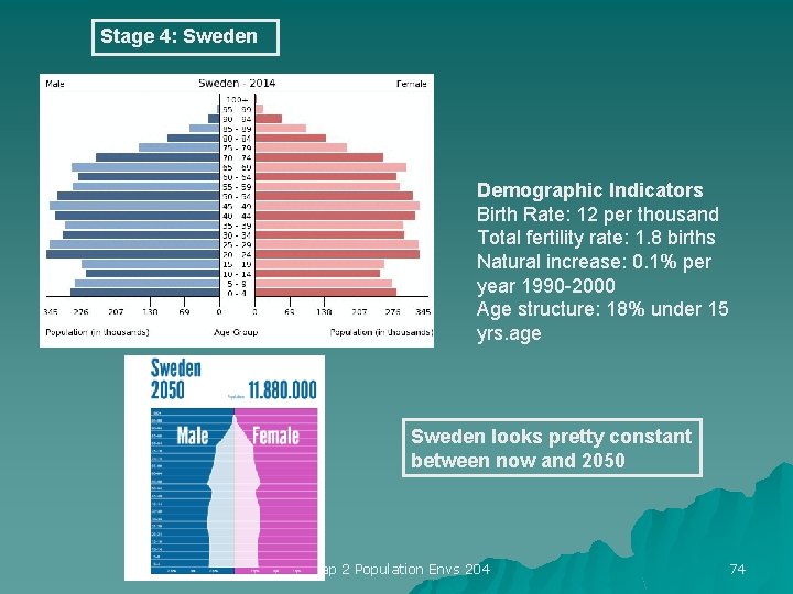 Stage 4: Sweden Demographic Indicators Birth Rate: 12 per thousand Total fertility rate: 1.