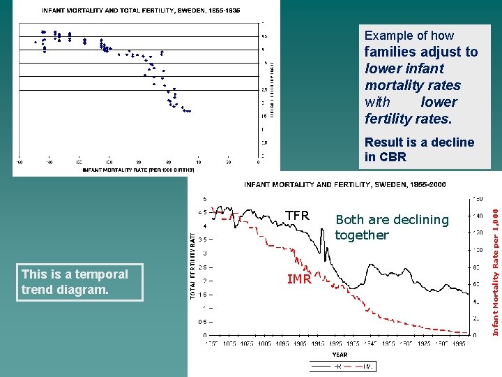 Example of how families adjust to lower infant mortality rates with lower fertility rates.