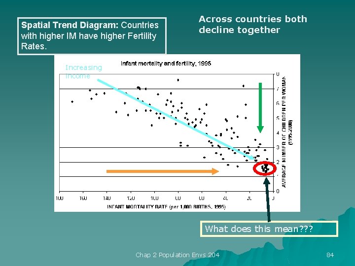 Spatial Trend Diagram: Countries with higher IM have higher Fertility Rates. Across countries both