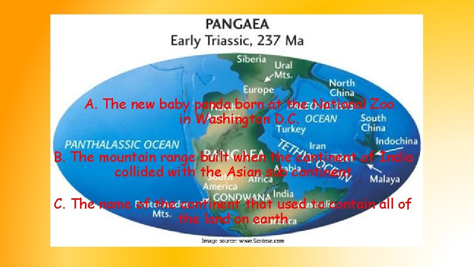 What is Pangaea? A. The new baby panda born at the National Zoo in What is Pangaea? A. The new baby panda born at the National Zoo in