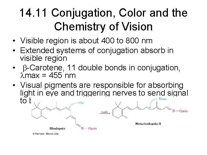 14. 11 Conjugation, Color and the Chemistry of Vision • Visible region is about