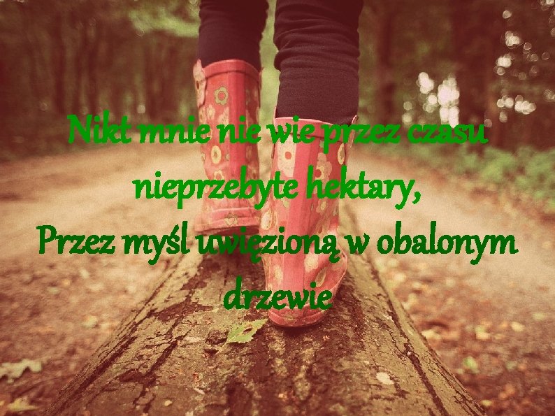 Nikt mnie wie przez czasu nieprzebyte hektary, Przez myśl uwięzioną w obalonym drzewie 