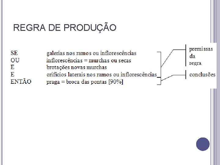REGRA DE PRODUÇÃO REGRA DE PRODUÇÃO