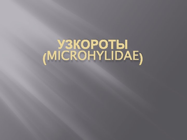 УЗКОРОТЫ (MICROHYLIDAE) 