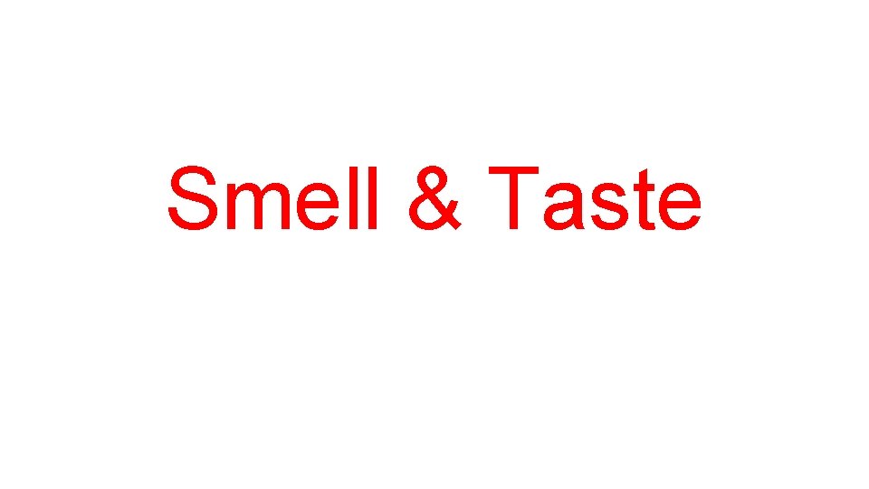 Smell & Taste 