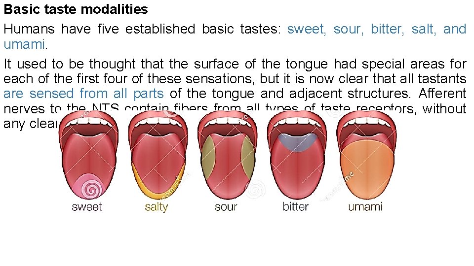 Basic taste modalities Humans have five established basic tastes: sweet, sour, bitter, salt, and