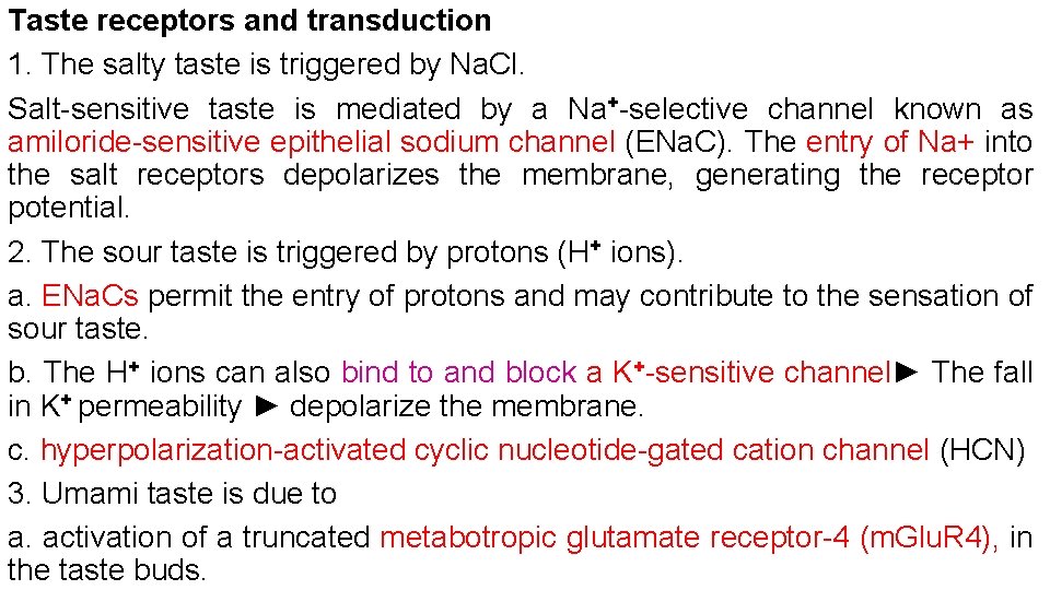 Taste receptors and transduction 1. The salty taste is triggered by Na. Cl. Salt-sensitive