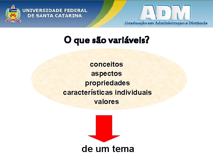 O que são variáveis? conceitos aspectos propriedades características individuais valores de um tema 