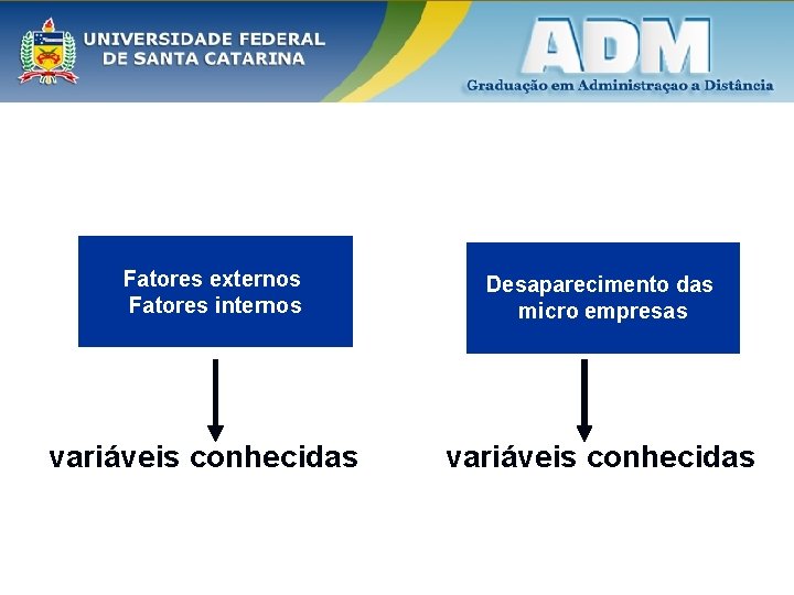 Fatores externos Fatores internos variáveis conhecidas Desaparecimento das micro empresas variáveis conhecidas 