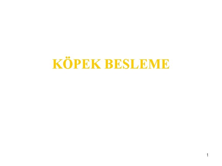 KÖPEK BESLEME 1 