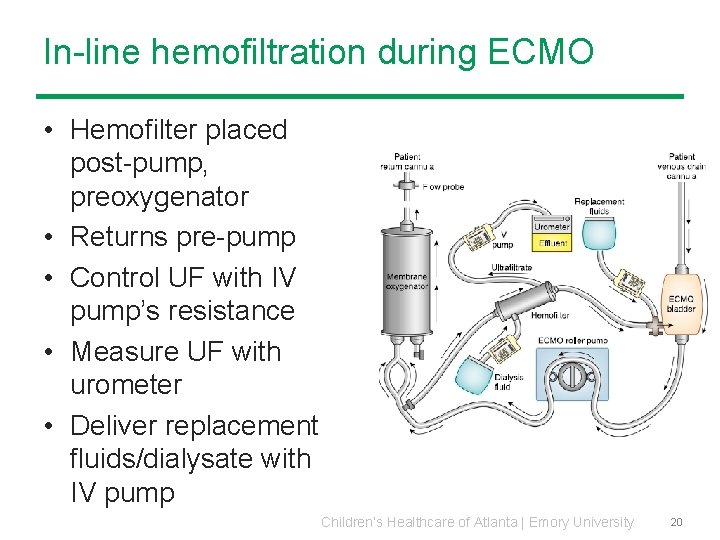 In-line hemofiltration during ECMO • Hemofilter placed post-pump, preoxygenator • Returns pre-pump • Control In-line hemofiltration during ECMO • Hemofilter placed post-pump, preoxygenator • Returns pre-pump • Control