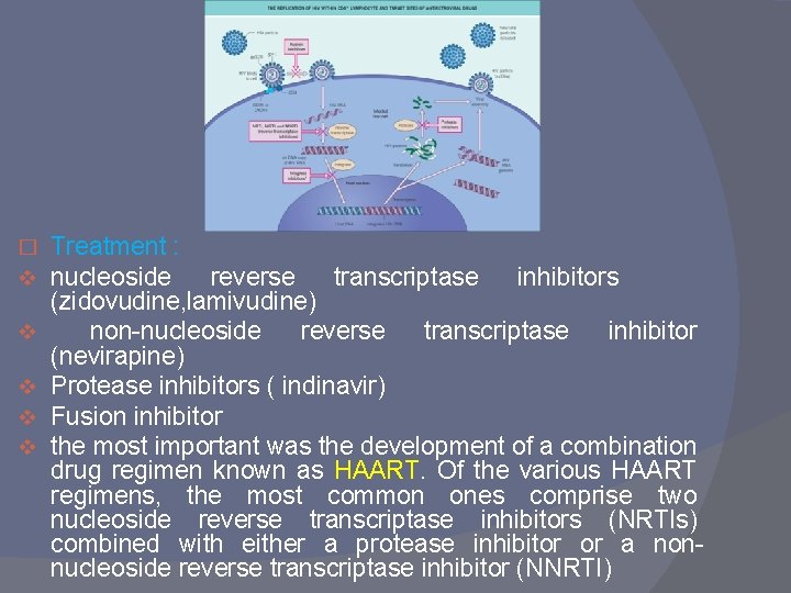 � v v v Treatment : nucleoside reverse transcriptase inhibitors (zidovudine, lamivudine) non-nucleoside reverse