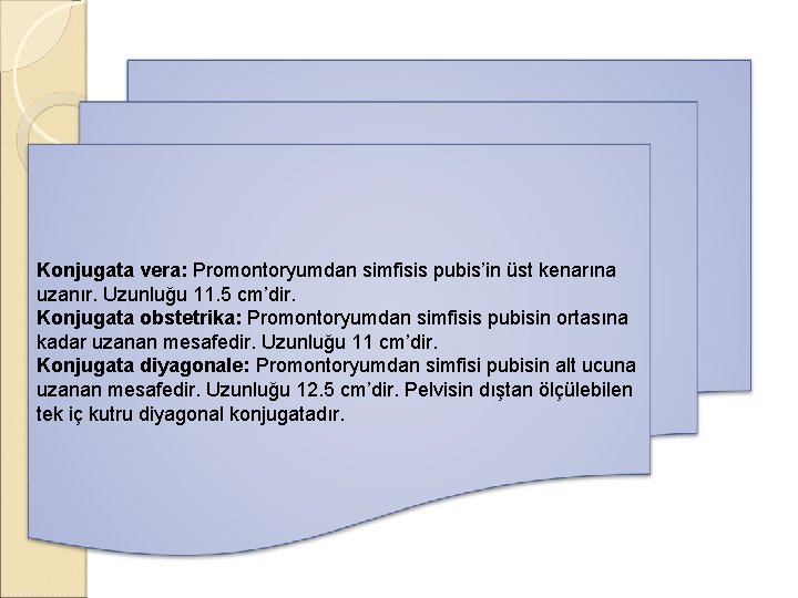 Konjugata vera: Promontoryumdan simfisis pubis’in üst kenarına uzanır. Uzunluğu 11. 5 cm’dir. Konjugata obstetrika: