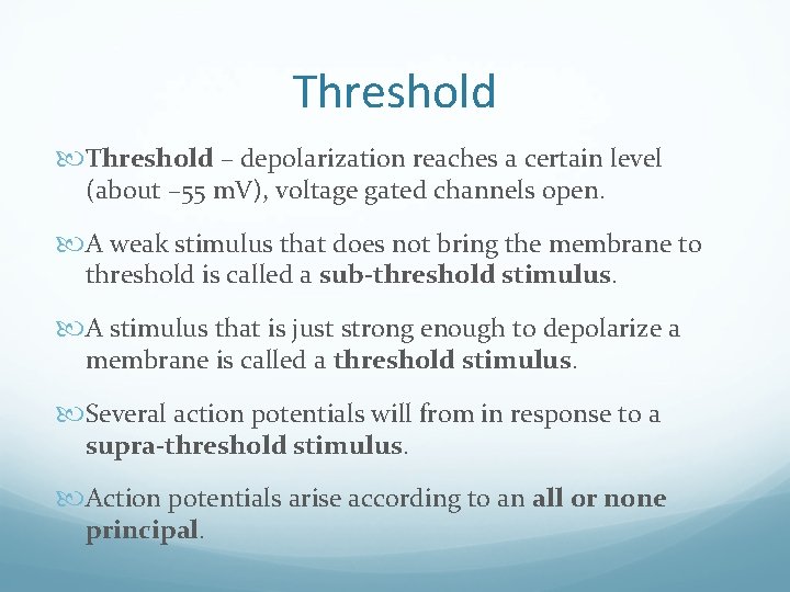 Threshold – depolarization reaches a certain level (about – 55 m. V), voltage gated