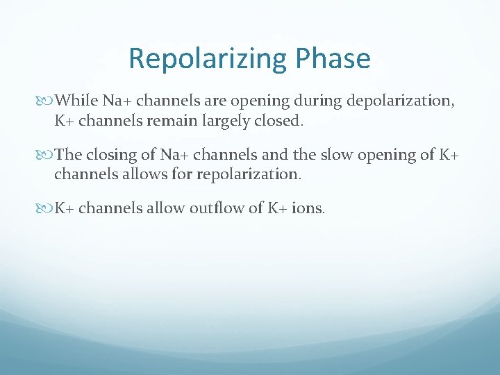Repolarizing Phase While Na+ channels are opening during depolarization, K+ channels remain largely closed.