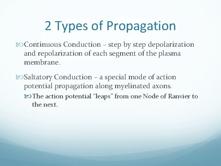 2 Types of Propagation Continuous Conduction – step by step depolarization and repolarization of