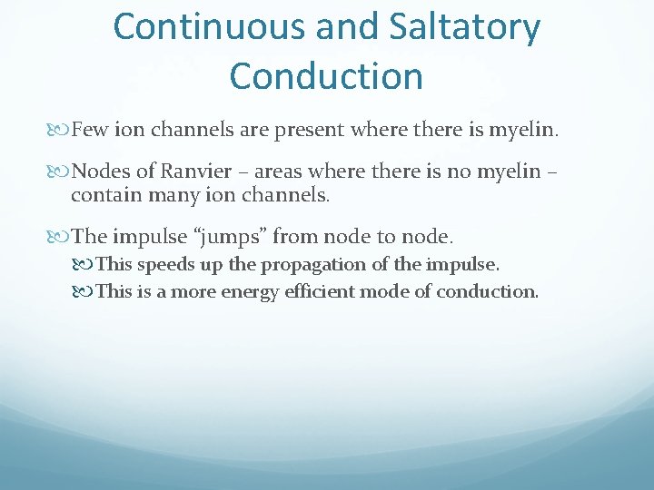 Continuous and Saltatory Conduction Few ion channels are present where there is myelin. Nodes