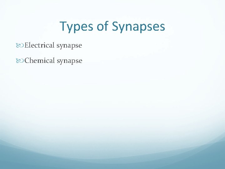 Types of Synapses Electrical synapse Chemical synapse 