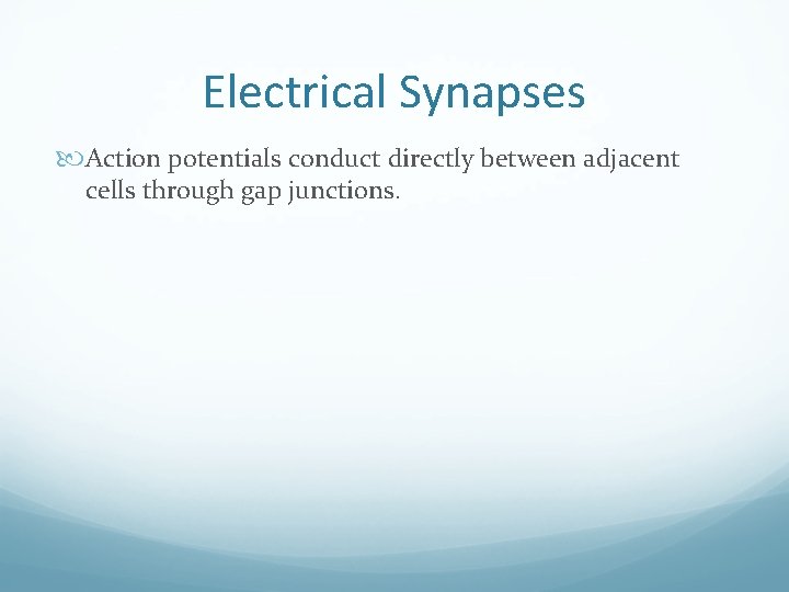 Electrical Synapses Action potentials conduct directly between adjacent cells through gap junctions. 