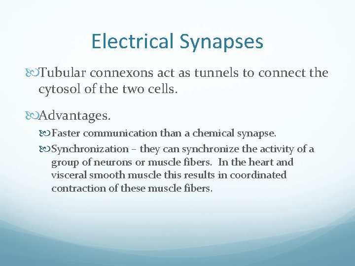 Electrical Synapses Tubular connexons act as tunnels to connect the cytosol of the two
